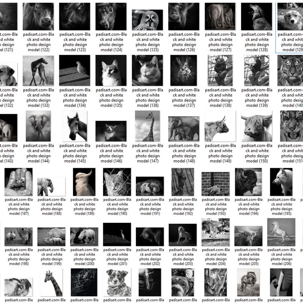 gallery item